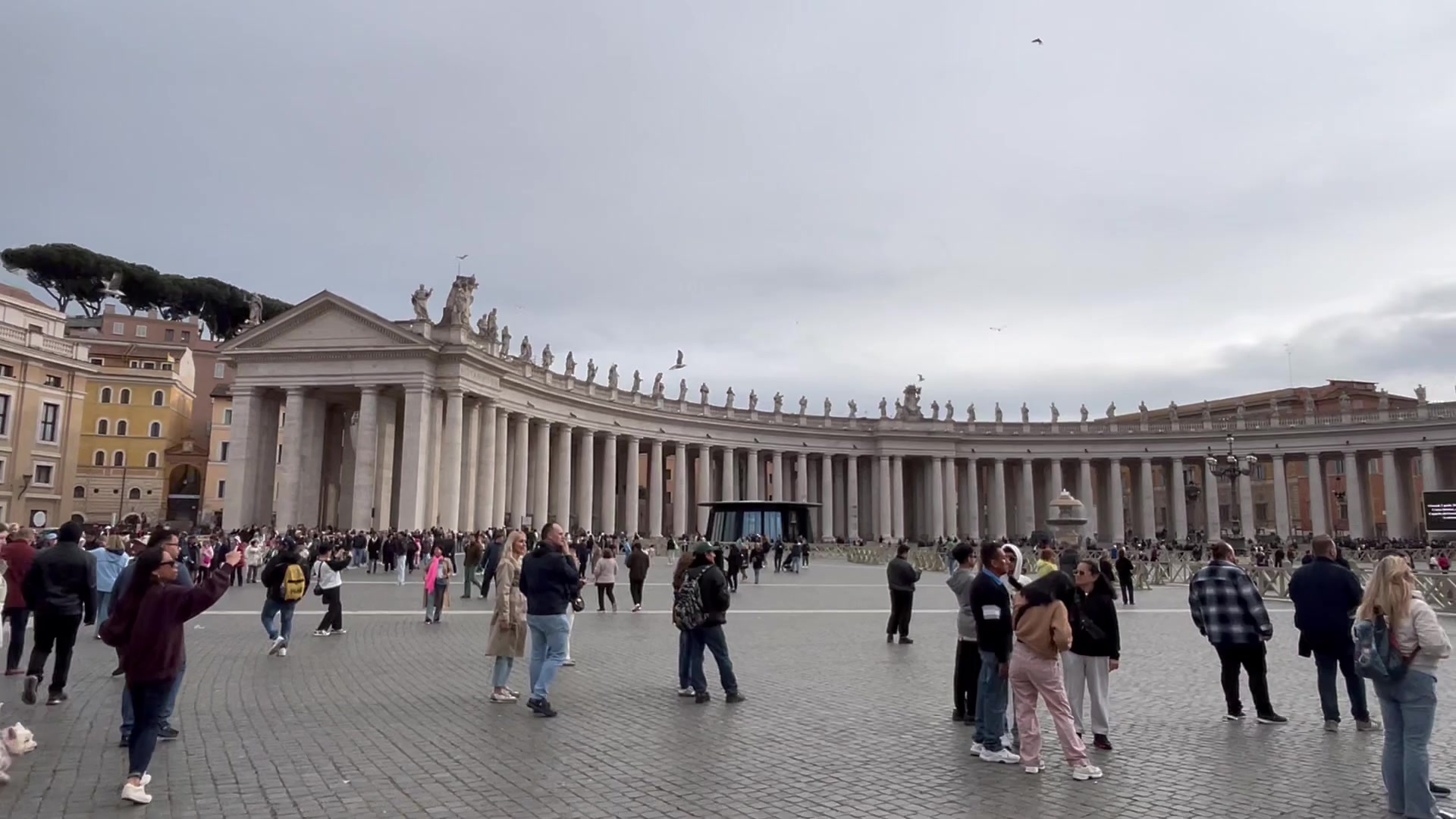 IMG_7187__20260403_034827_e439cb